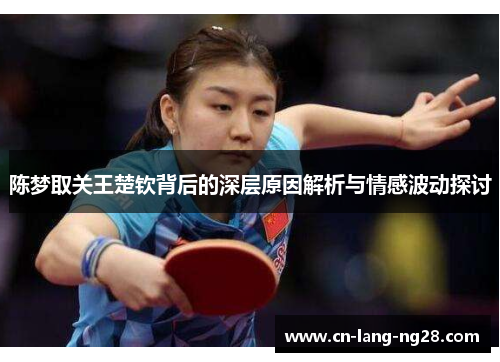 陈梦取关王楚钦背后的深层原因解析与情感波动探讨
