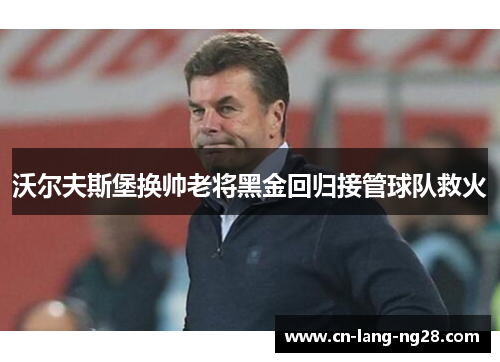 沃尔夫斯堡换帅老将黑金回归接管球队救火